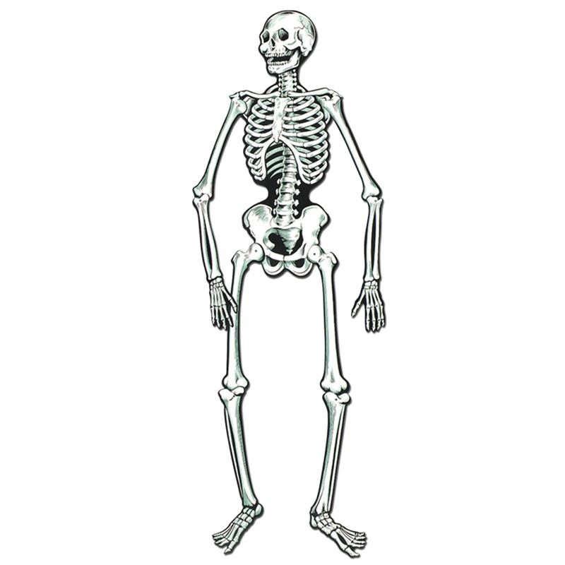 Jointed Skeleton - Large